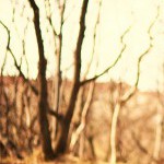 Profilbild för Prema Yoga Sweden