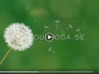 ouryoga-film